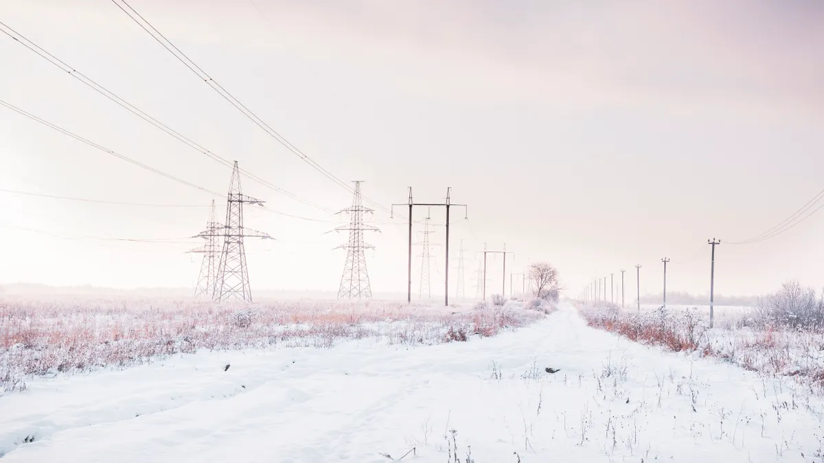 Power lines on a snowy day.